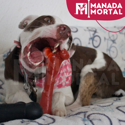 JUGUETE PERRO HUESO GRANDE - MANADA MORTAL